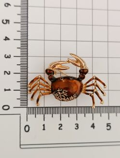 Śliczny brązowy krab - 2