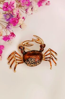 Śliczny brązowy krab