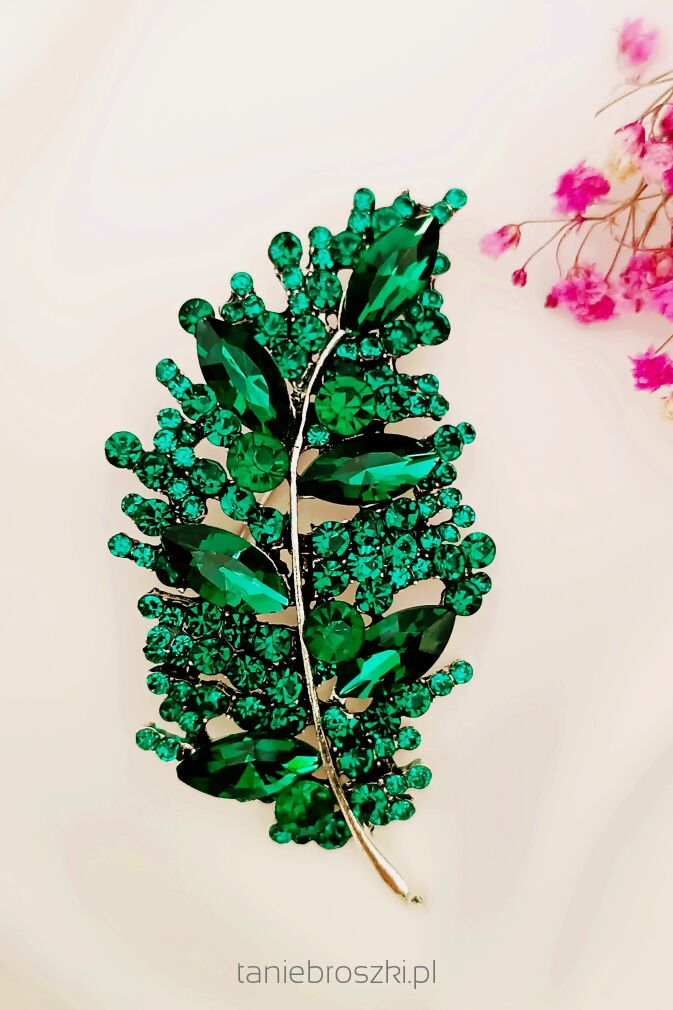 Zielone pióro/liść