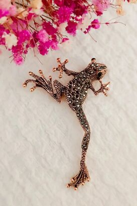 Żaba w miedzianej kolorystyce