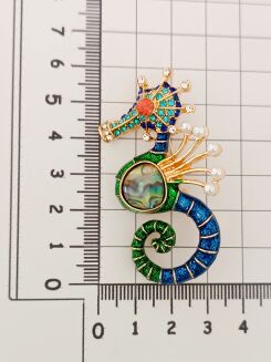 Kolorowy konik morski - 3