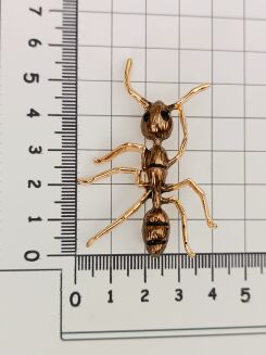 Super broszka brązowa mrówka - 3