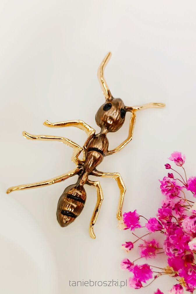 Super broszka brązowa mrówka