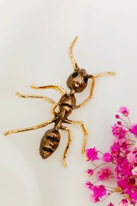 Super broszka brązowa mrówka